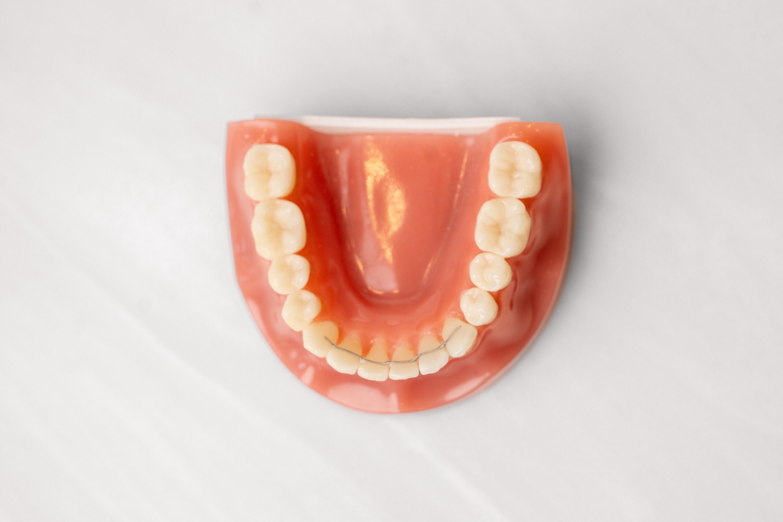 rambo-ortho-products-02192