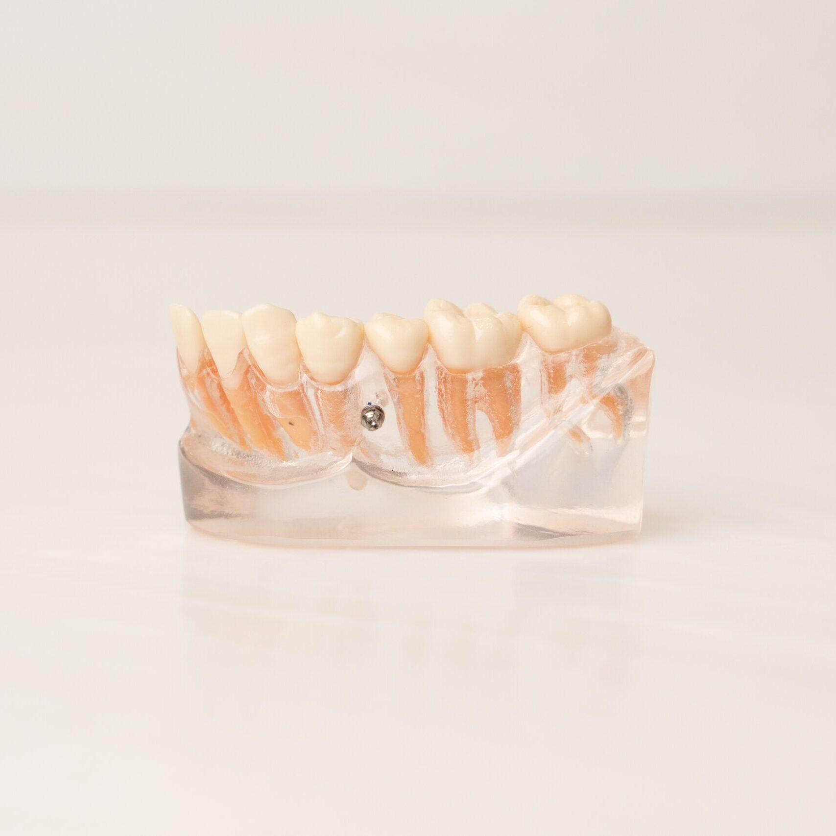 rambo-ortho-products-02204